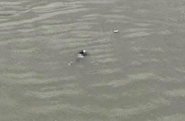 z7291792784207-c852706bad1efb3a1e89c93d93a461ea-935