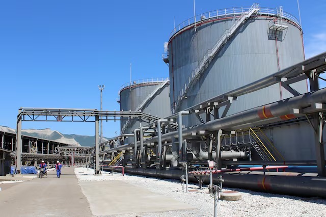 VWUPOBERYRLHROSEZ6IWTLXI7I_11zon