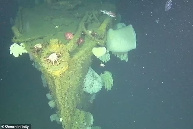 90316177-14368711-The_wreck_of_the_DD_224_was_said_to_be_found_in_almost_perfect_c-a-11_1738941756431_11zon