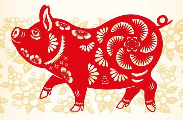 hinh-anh-tuoi-hoi-hop-huong-nao-cach-hoa-giai-khi-nha-khong-hop-huong-so-1