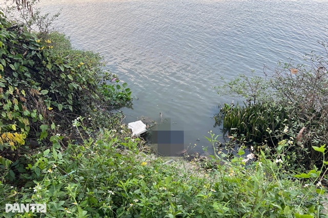 4dd49537-0c67-4c57-b0f0-da9fadbedbaejpeg-1769001862948_11zon