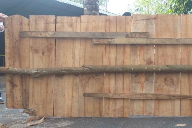 tam-go-day-chiec-ho-edited-1769487331010_11zon