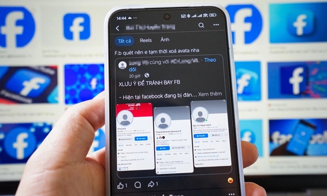 DSC02390-JPG-1767426475-8645-1767426607_11zon