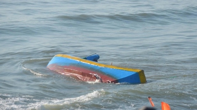 Tauca-chim-1769914061-6812-1769914106_11zon