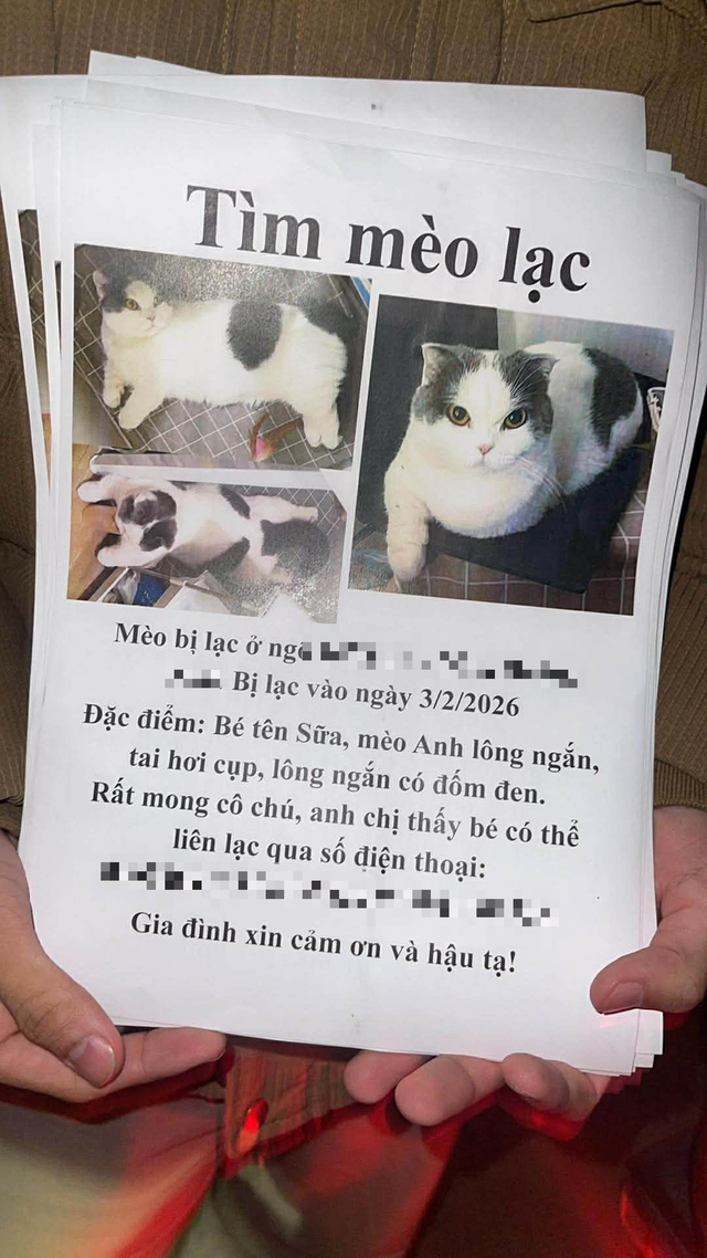 edit-6276475251222835764940236841690410304812906738n-1770700759034759083755-1770708717351-17707087175541681408285