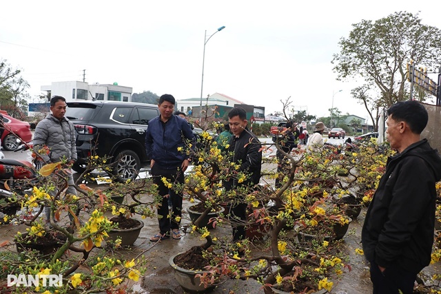 ong-tuan-ban-maitet-binh-ngonghe-anhoang-lam-3jpg-1770705324338_11zon