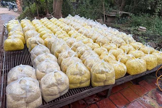 photo-library-20260211161640-b9217211-562b-4081-99c3-287a64d781dd-rieng-xay-thanh-pham-uoc-tron-chat-tay-uong-va-chat-vang-o-bi-thu-giu-edited-1770811110283_11zon