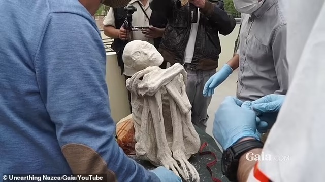 86508119-14222497-Three_fingered_alien_mummies_uncovered_in_Peru_have_largely_been-a-62_1734988170819_11zon