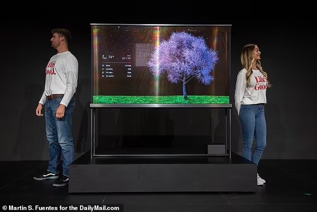 79760229-14198109-LG_and_Samsung_have_announced_plans_to_launch_fully_transparent_-a-3_1734534649483_11zon