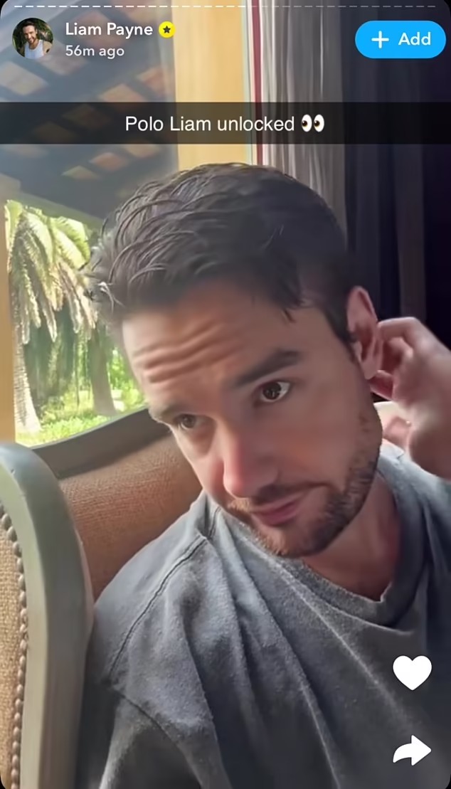 90944539-13968483-Liam_was_looking_forward_to_playing_polo_before_his_death-a-36_1729118451888_11zon