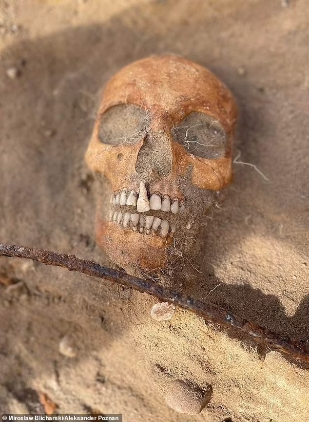 61992533-14009959-The_remains_of_a_female_vampire_pinned_to_the_ground_by_a_sickle-a-3_1730106672720_11zon