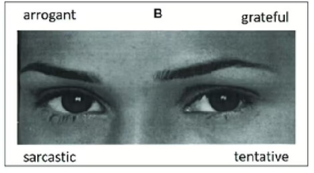 Reading-the-Mind-in-the-Eyes-Test-5510031_11zon