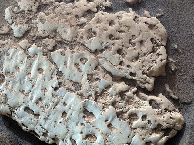 87590527-13656211-Curiosity_made_the_strange_find_by_accidently_cracking_opening_w-a-21_1721579270364_11zon