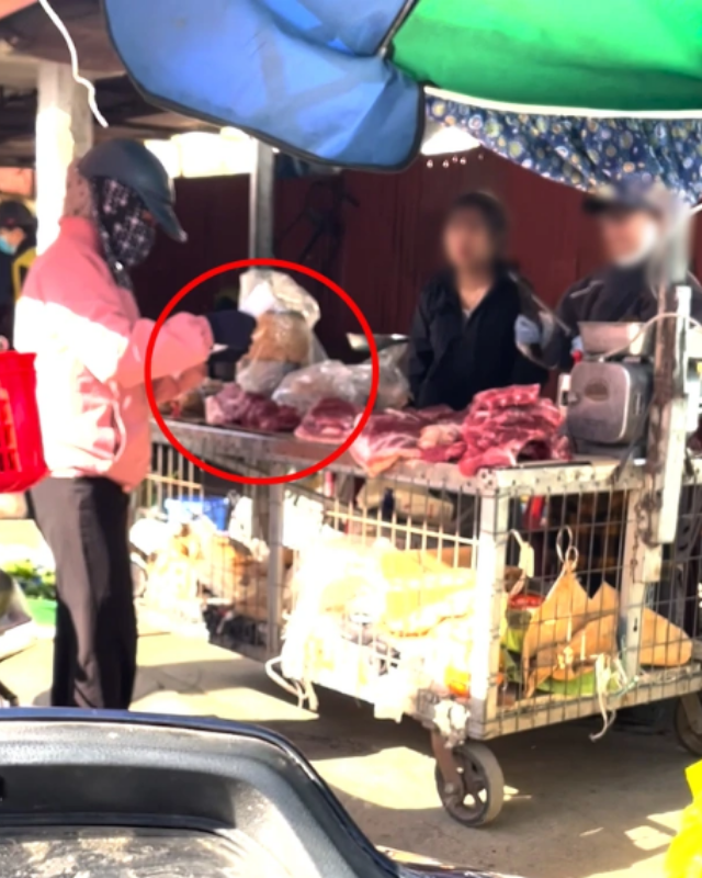 Ảnh b&agrave;i (1) (6)