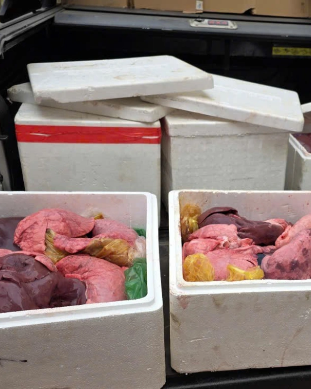 Ảnh b&agrave;i (95)