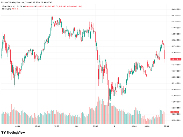 Thiết kế chưa c&oacute; t&ecirc;n (172)