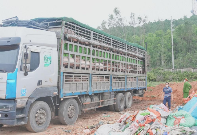 Thiết kế chưa c&oacute; t&ecirc;n (28)