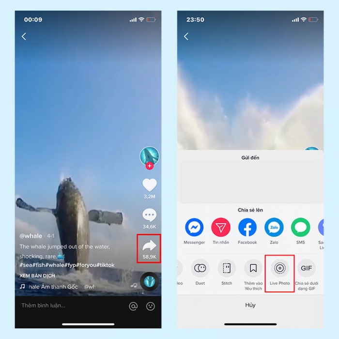 Cách Cài Video Tiktok Làm Hình Nền Trên IOS Và Android - Techz