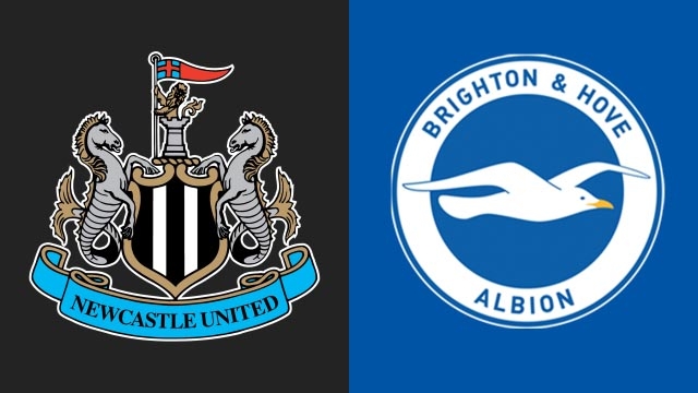 Nhận định bóng đá Newcastle vs Brighton - Vòng 37 Ngoại hạng Anh: MU hết hy vọng dự cúp châu Âu?