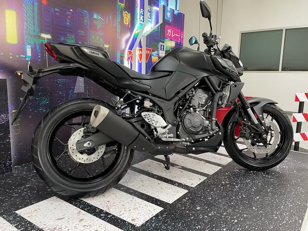 Yamaha-MT-25