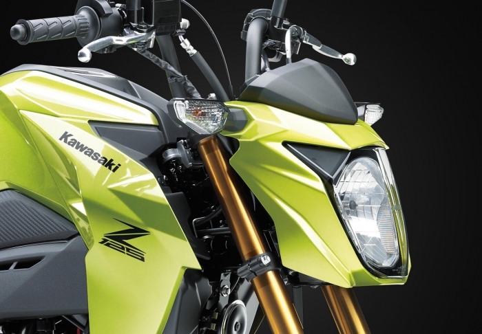 kawasaki-z125-pro-3
