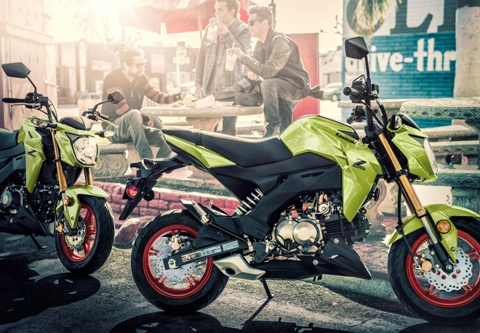 kawasaki-z125-pro