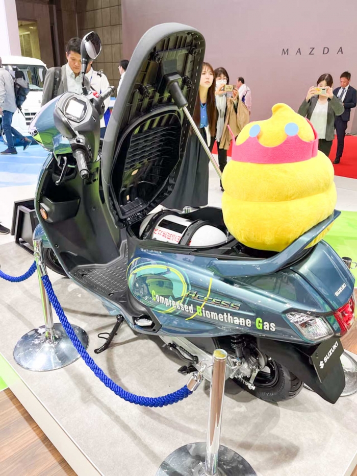 suzuki-access-cng-2
