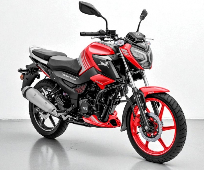 TVS-Raider-125-8