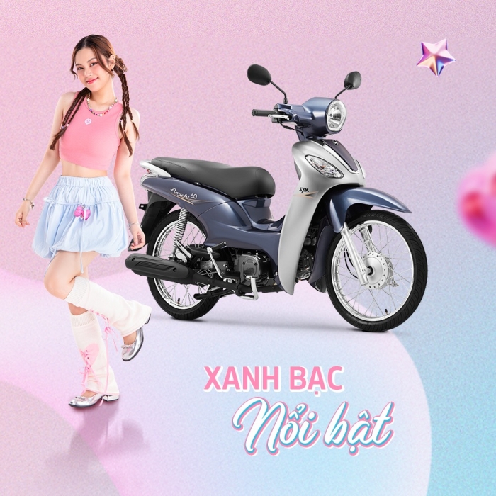 xe-so-gia-re-2