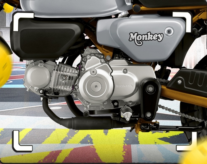 Monkey-Moonlit-Silver-6