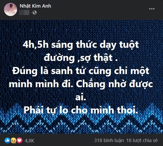 nhat-kim-anh-1