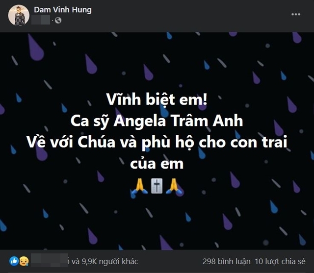 dam-vinh-hung