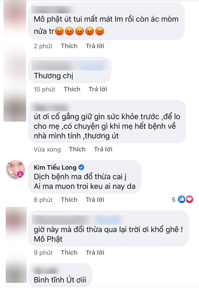 binh-tinh-kim-tu-long-2