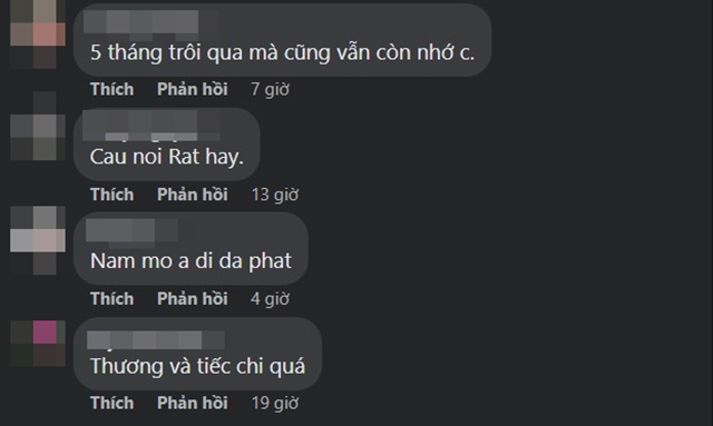 phi-nhung-8