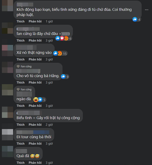 ba-nguyen-phuong-hang-4