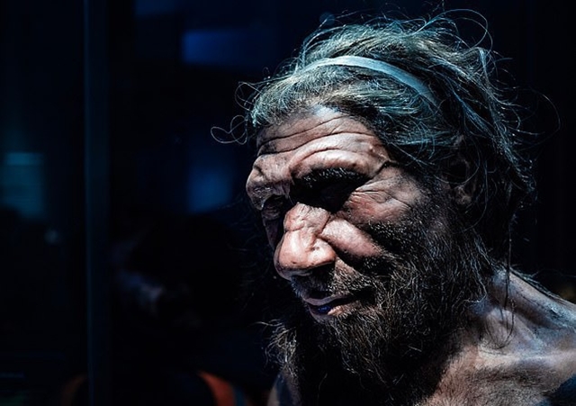 nguoi-Neanderthal-4
