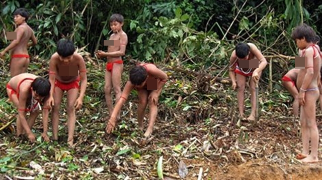 Yanomami-2