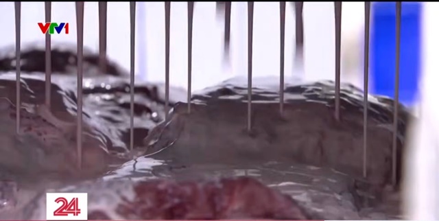 thit-trau-thanh-thit-bo-wagyu-1