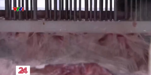 thit-trau-thanh-thit-bo-wagyu-2