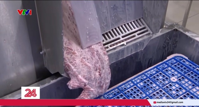 thit-trau-thanh-thit-bo-wagyu-3
