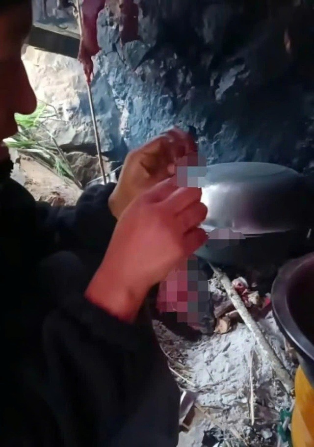 co-gai-tren-dao-hoang-2