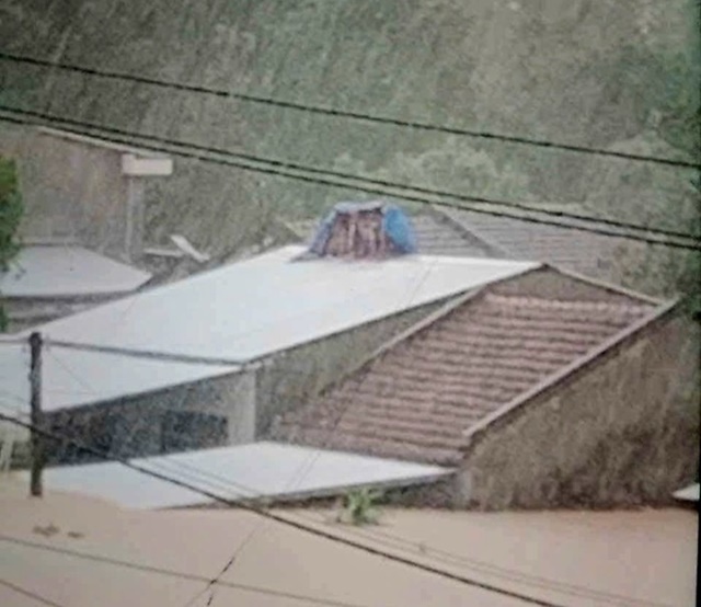 3-me-con-ngoi-tren-mai-nha-2