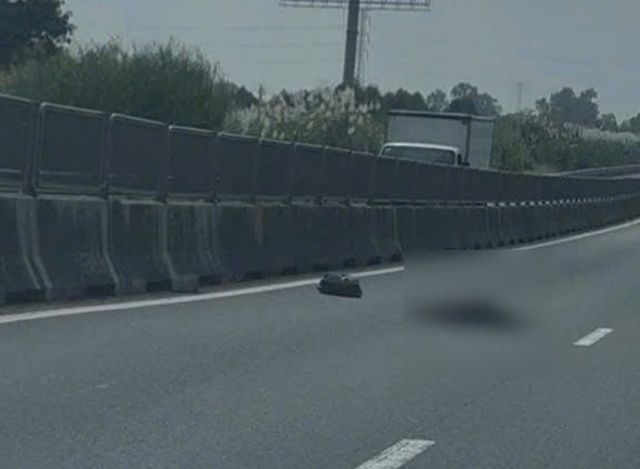 thi-the-cao-toc-trung-luong-my-thuan-2