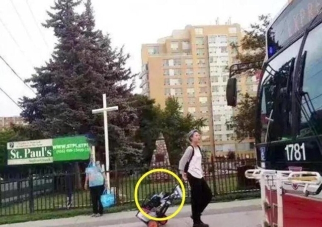 ngo-trac-lam-con-thanh-long-3