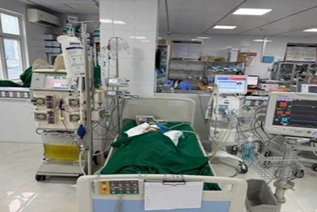 be-gai-9-tuoi-bi-ong-vo-ve-dot-1