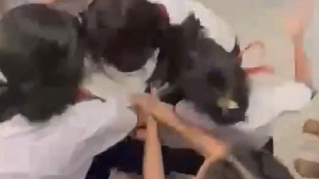 nu-sinh-lop-8-bi-danh-hoi-dong-1