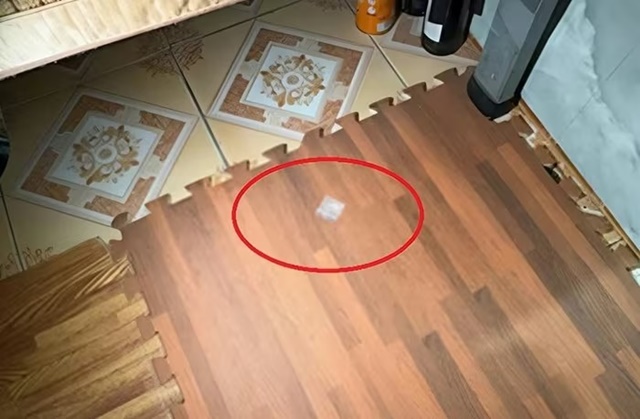 bao-ve-truong-tieu-hoc-1