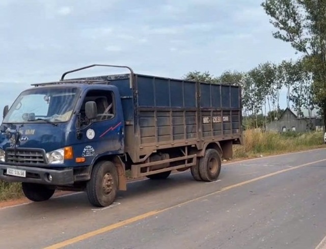 xe-tai-tong-nguoi-di-bo-2