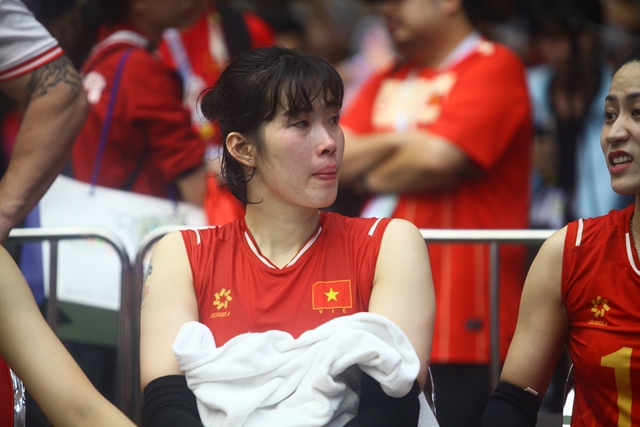 bong-chuyen-viet-nam-1