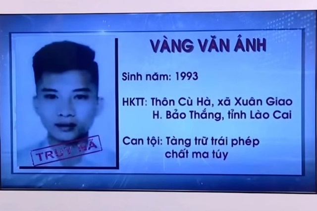 vang-van-anh-4